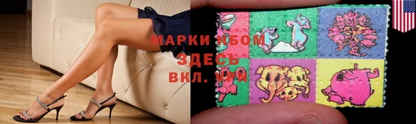 СК Зерноград
