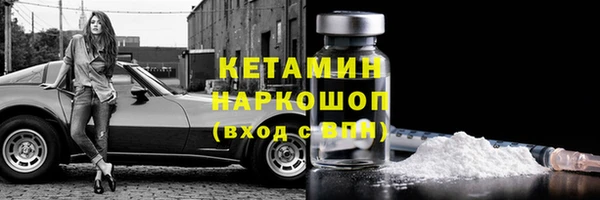 СК Зерноград