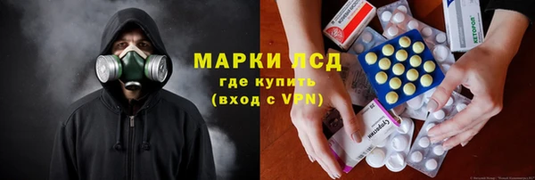 СК Зерноград