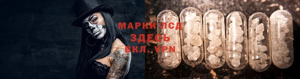 СК Зерноград