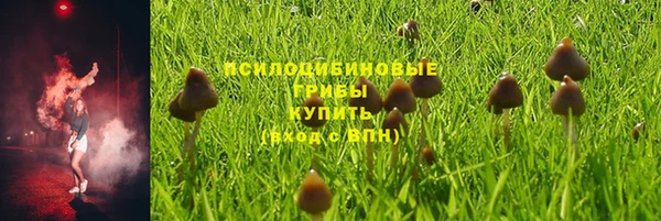 СК Зерноград