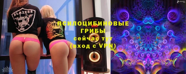 Альфа ПВП Зеленокумск