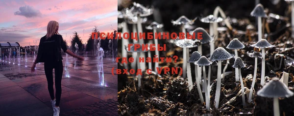 СК Зерноград
