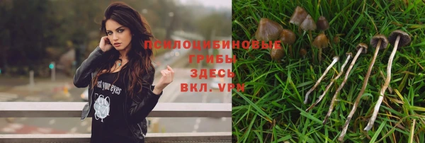Альфа ПВП Зеленокумск