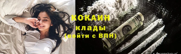 СК Зерноград