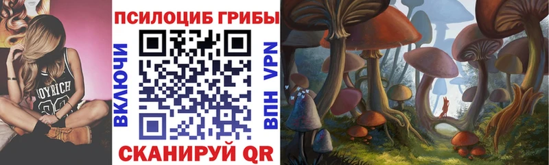 Купить закладки  Воркута  Псилоцибиновые грибы Magic Shrooms 